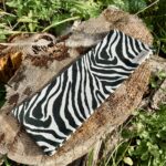 Čelenka na turistiku: Zebra